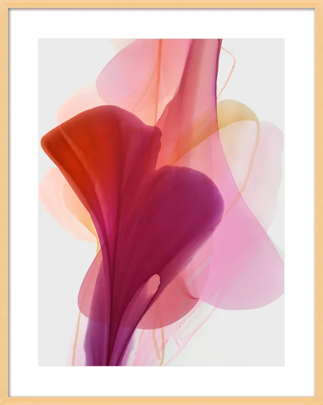 Abstract Flora Bloomlands 33 by Marta Spendowska for Artfully Walls