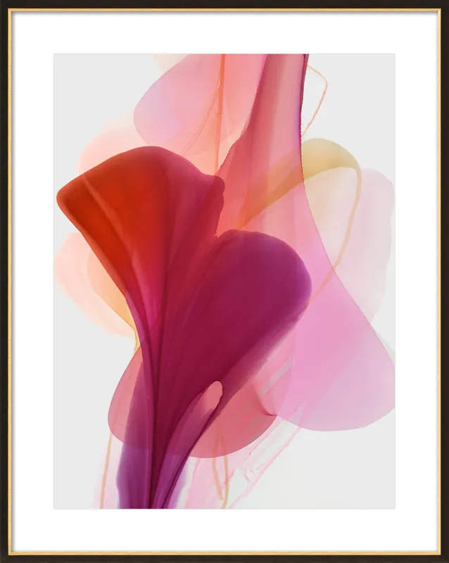 Abstract Flora Bloomlands 33 by Marta Spendowska for Artfully Walls