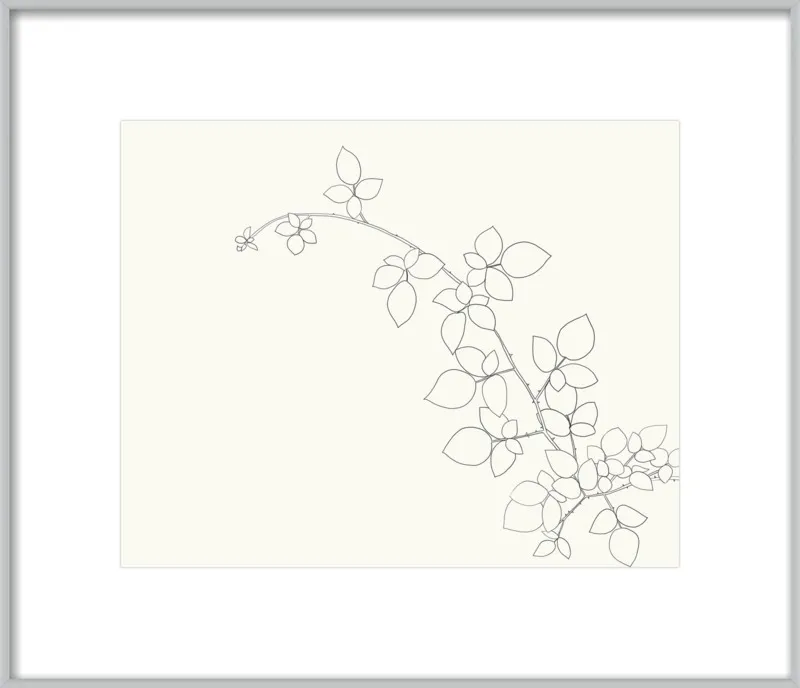 Blackberry  by Jorey Hurley for Artfully Walls