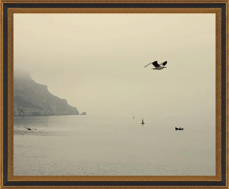 one day I will fly away by Ingrid Beddoes for Artfully Walls