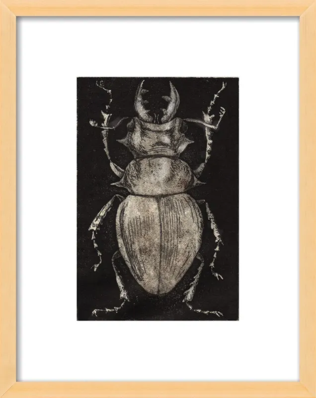 Grey Beetle on Black by Tennopent Sooster for Artfully Walls