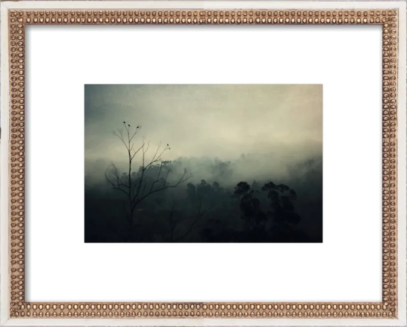 bird song by Ingrid Beddoes for Artfully Walls