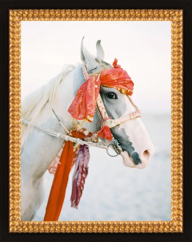 Marwari by Andrew Jacona for Artfully Walls