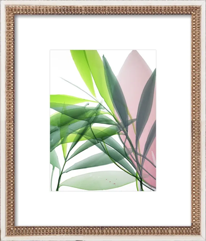 Tropical Study no. 15 by Marina Dunbar  for Artfully Walls