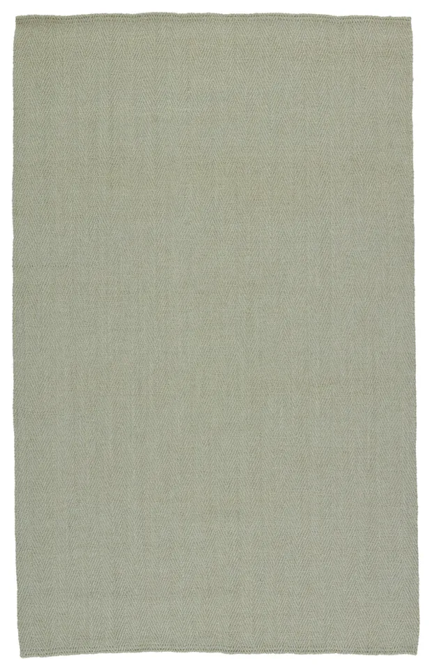 Ranier Natural Solid Green Area Rug (4'X6')