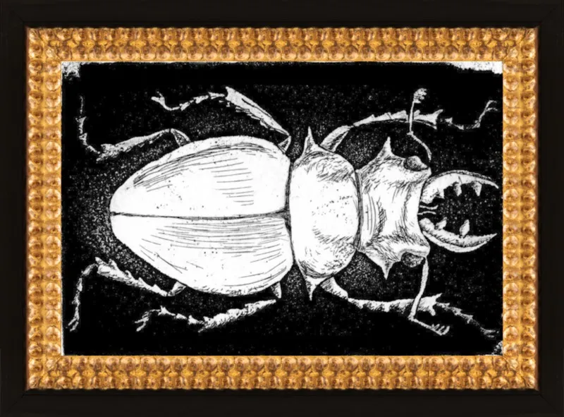 White Beetle on Black by Tennopent Sooster for Artfully Walls