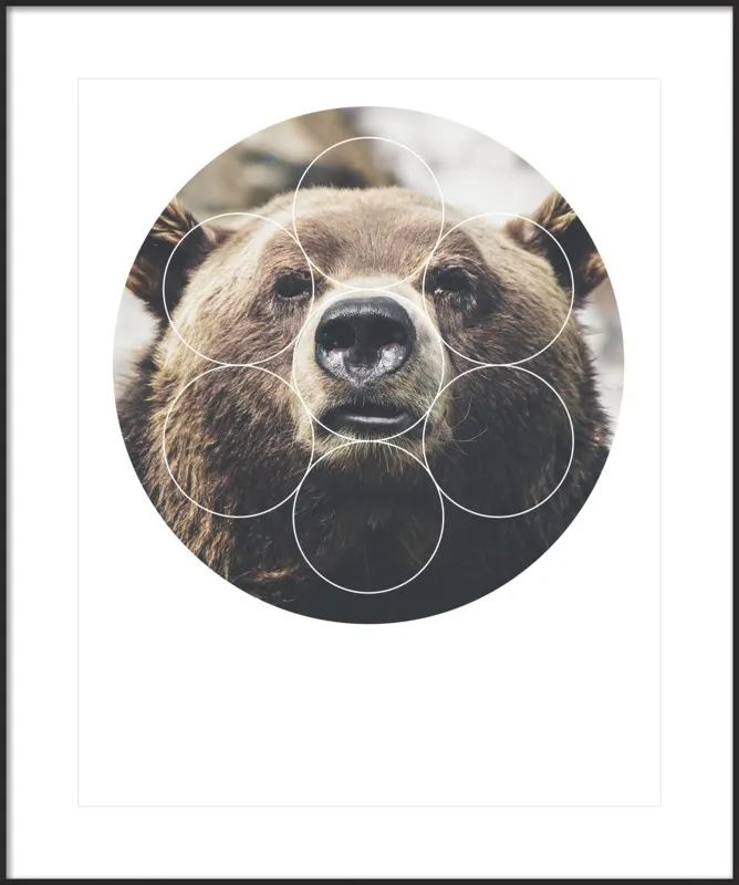 Big Bear Buddy - Geometric Photography by Emiliano Deificus for Artfully Walls