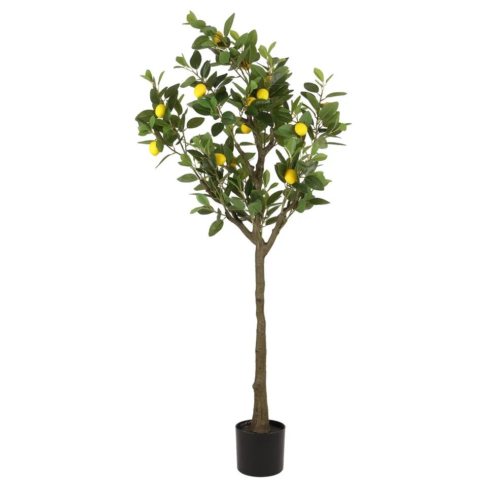 Faux 61'' Lemon Tree - Green / Black