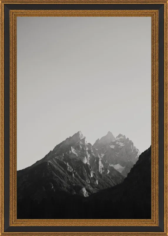 Chasing Light by Catherine McDonald for Artfully Walls