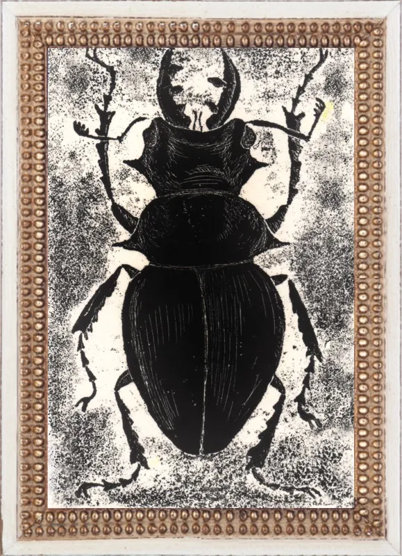 Black Beetle on White by Tennopent Sooster for Artfully Walls
