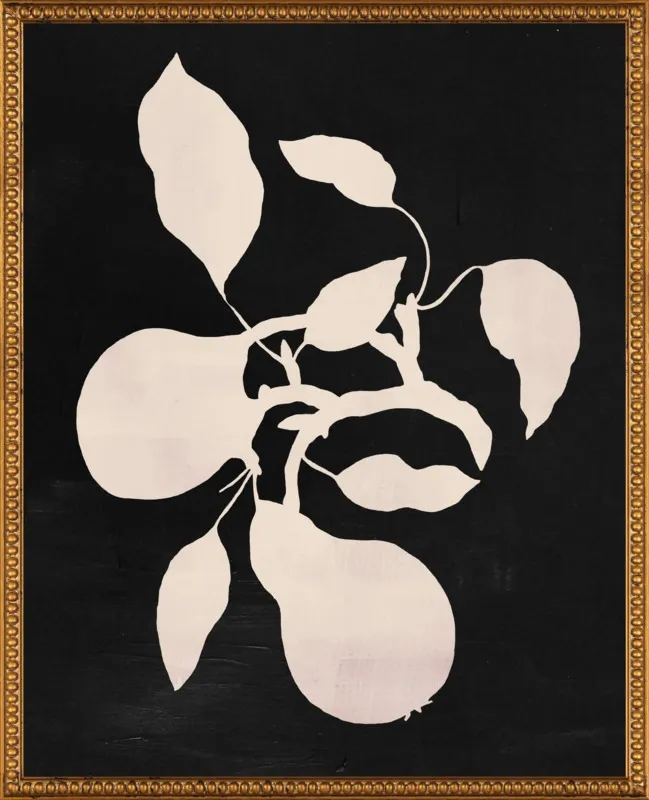 pears black and white by Ruti Shaashua for Artfully Walls