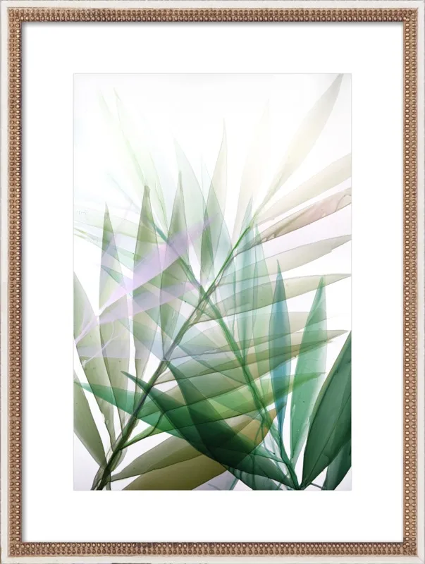 Tropical Study no. 8 by Marina Dunbar  for Artfully Walls