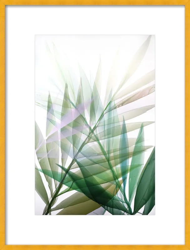 Tropical Study no. 8 by Marina Dunbar  for Artfully Walls