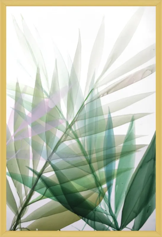 Tropical Study no. 8 by Marina Dunbar  for Artfully Walls