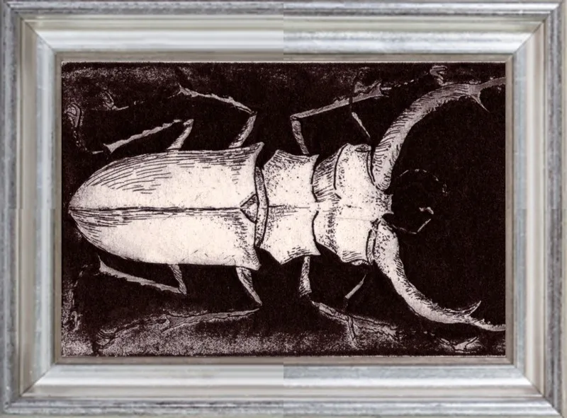 White Beetle on Dark Brown by Tennopent Sooster for Artfully Walls
