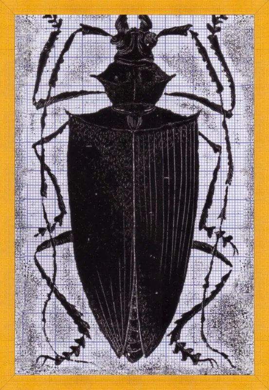 Black Beetle on Grey by Tennopent Sooster for Artfully Walls
