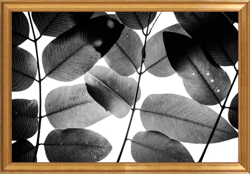 "Experiments with Leaves 2015 1" by Tal Paz-Fridman for Artfully Walls