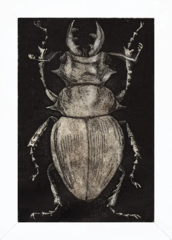 Grey Beetle on Black by Tennopent Sooster for Artfully Walls