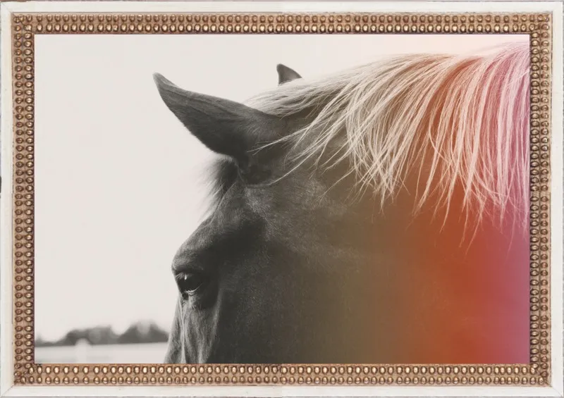 Pink Pony by Alicia Bock for Artfully Walls