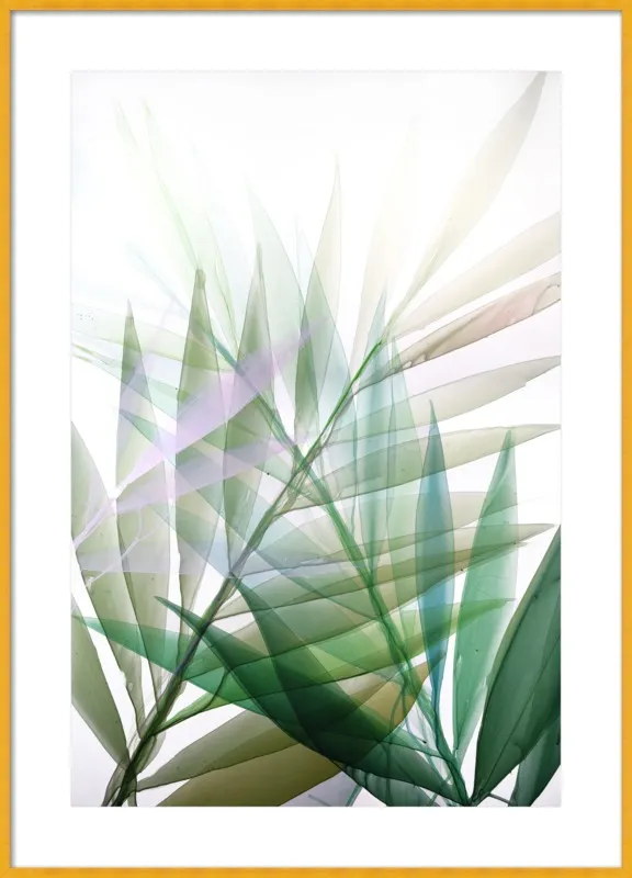 Tropical Study no. 8 by Marina Dunbar  for Artfully Walls