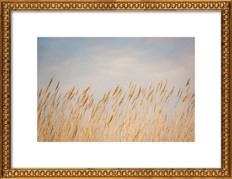 Nantucket Gold by Ann Hudec for Artfully Walls