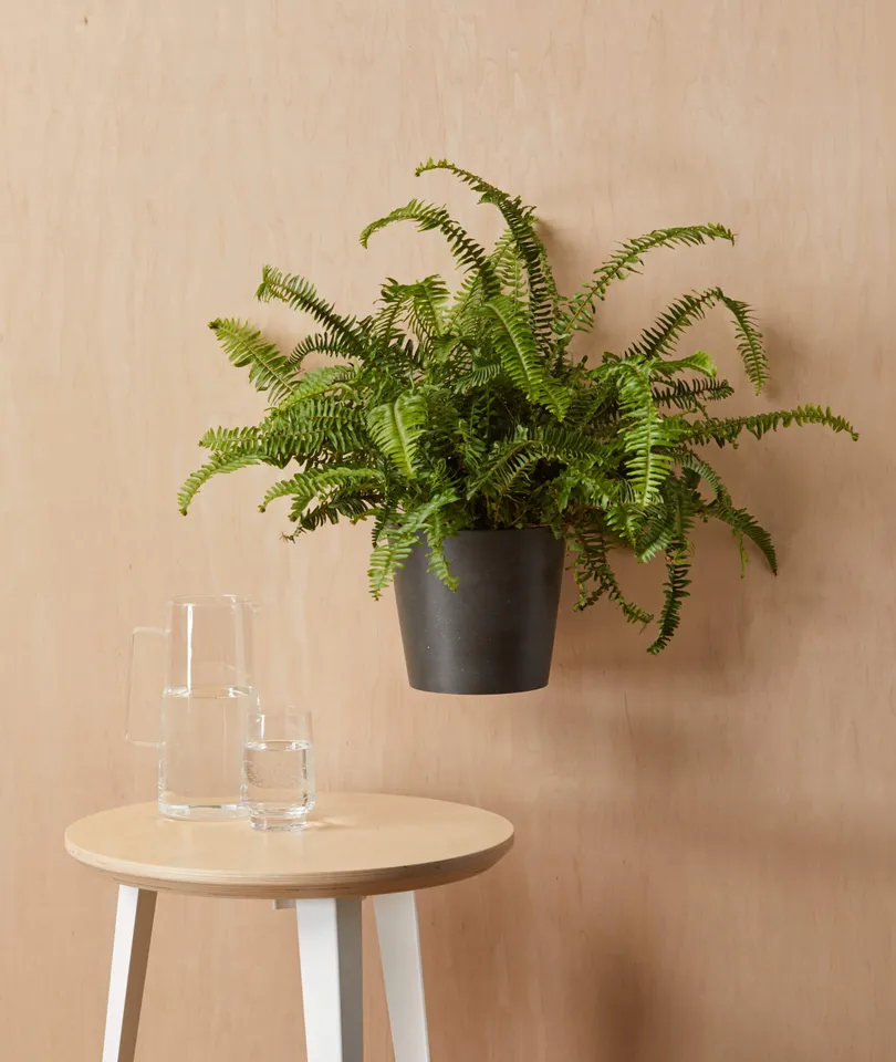 Ecopots Round Wall Hanging Pot - Medium (8") -  Charcoal