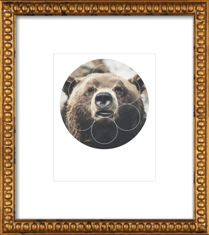 Big Bear Buddy - Geometric Photography by Emiliano Deificus for Artfully Walls