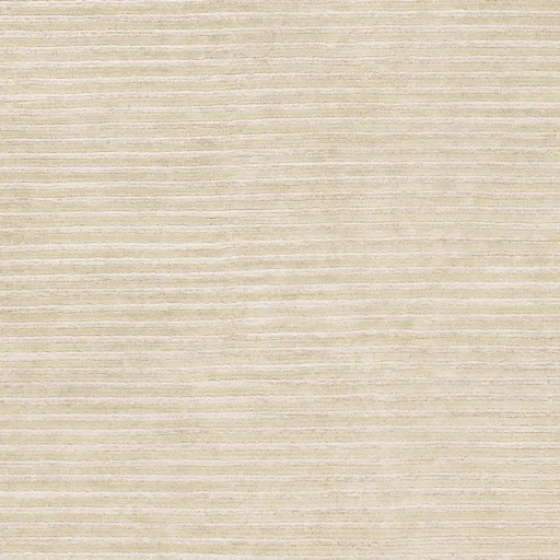 Mugal Beige Indoor 2' x 3' Handmade Rug
