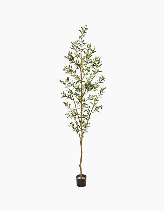 64% OFFNearly NaturalOlive Artificial Tree, 82"$166.99 $59.99Limited Time Offer | Price as Marked