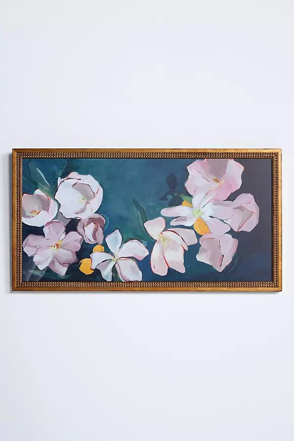 [Anthropologie] \