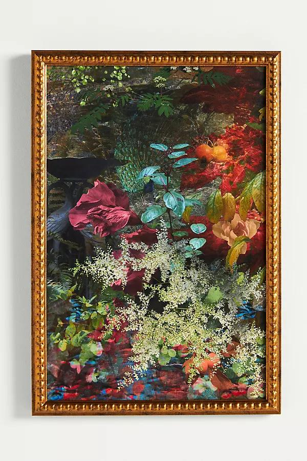 [Anthropologie] \