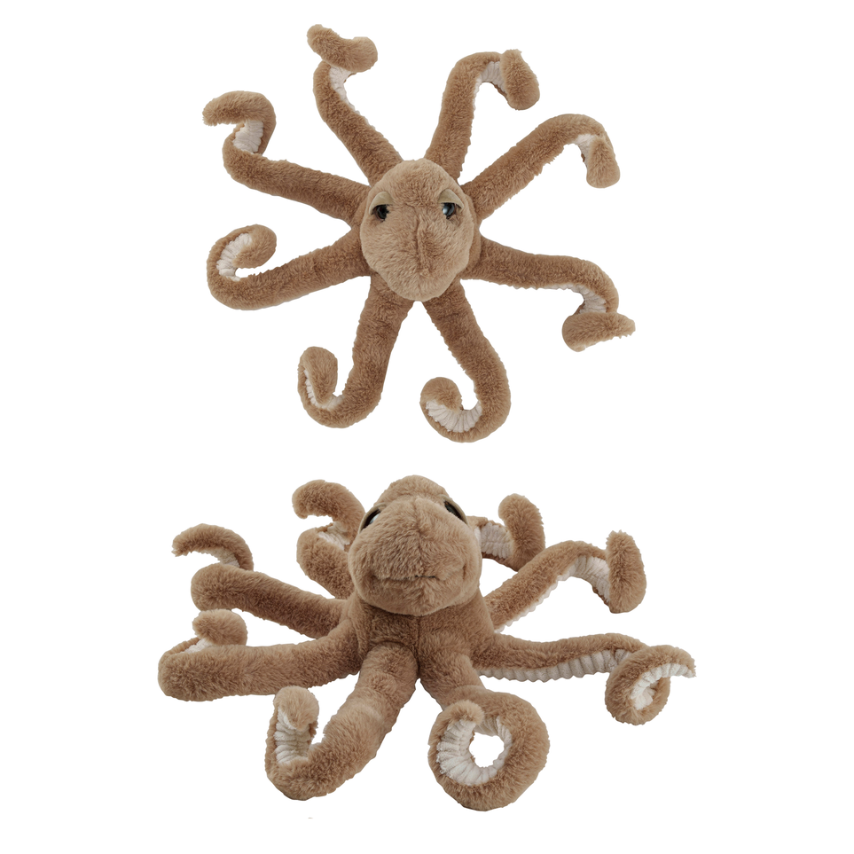 Sol squid jellycat deals