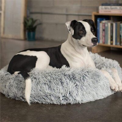 memory foam donut dog bed