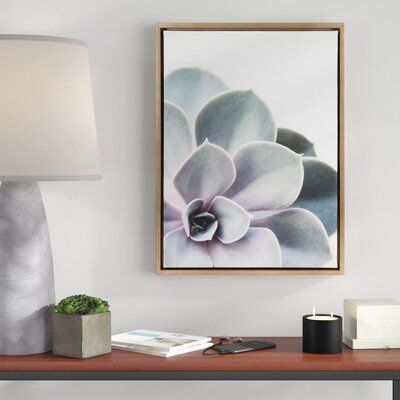 'Sylvie Gold Succulent 5' by Emiko and Mark Franzen - Picture Frame Photograph Print on Canvas