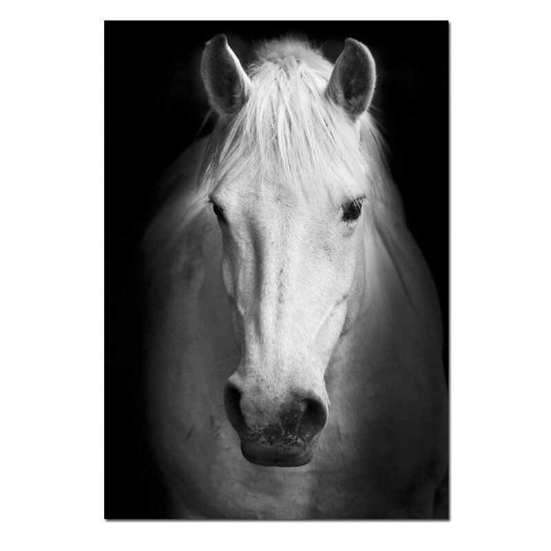DecorumBY 'Curious White Horse' - Print on Paper Size: 36" H x 24" W x 1.5" D