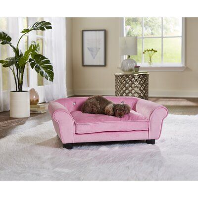 corina dog sofa