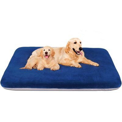 non slip dog bed