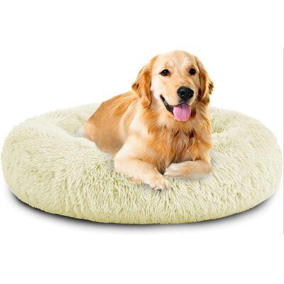 enclosed dog bed large