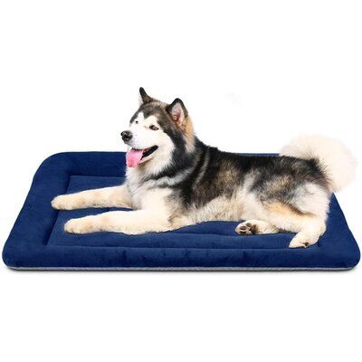 washable crate pad