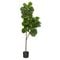 Fiddle Leaf Fig Artificial Tree, 66"