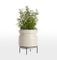 Brice Extra Large with Short Modern Metal Plant Stand
