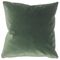 Wish Holiday Pillow, 20" x 20", Green