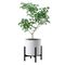 Square Modern Plant Stand