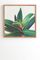 Oyster Plant by Cassia Beck - Framed Wall Art Bamboo 11" x 13"