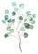 Eucalyptus Leaves Botanical Print Framed Art Print by Becky Bailey - Vector White - LARGE (Gallery)-26x38