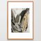 Drift [5]: A Neutral Abstract Mixed Media Piece In Black, White, Gray, Brown Framed Art Print by Alyssa Hamilton Art - Conservation Pecan - LARGE (Gallery)-26x38