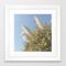 Pampas Grass Framed Art Print by Cassia Beck - Vector White - X-Small-12x12