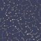 Novogratz Constellations Navy Peel and Stick Wallpaper, 28 Sq. Ft.