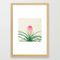 Bromelia Ii Framed Art Print by Cassia Beck - Conservation Natural - SMALL-15x21