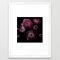 Ranunculus 1 Framed Art Print by Mareike BaPhmer - Vector White - MEDIUM (Gallery)-20x26
